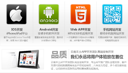 APP定制開發(fā) 從專業(yè)眼光解析淘寶網(wǎng)上的安卓與iOS軟件服務(wù)